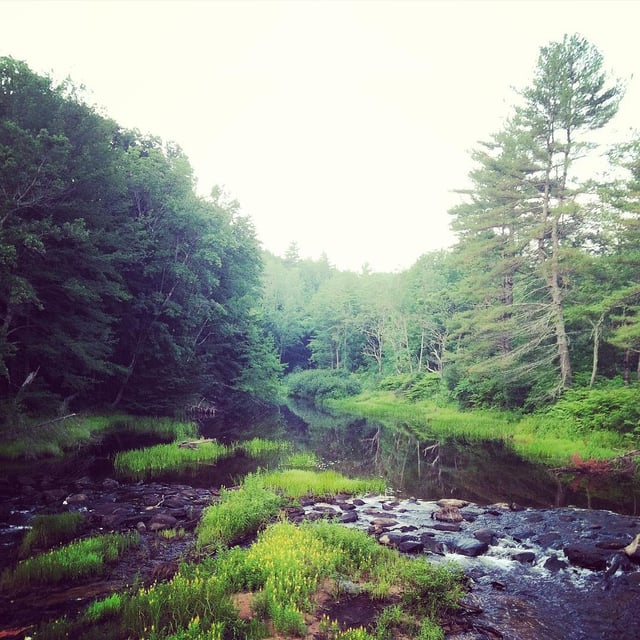 blazing new trails in the outdoor industry blazing new trails in the outdoor industry