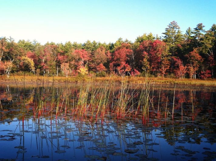 kayak fishing on the Ossipee River