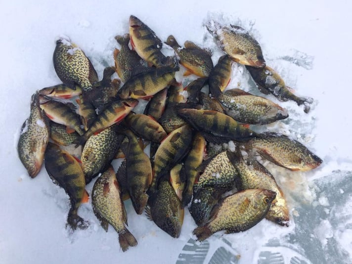 hardwater jigging for panfish in Vermont