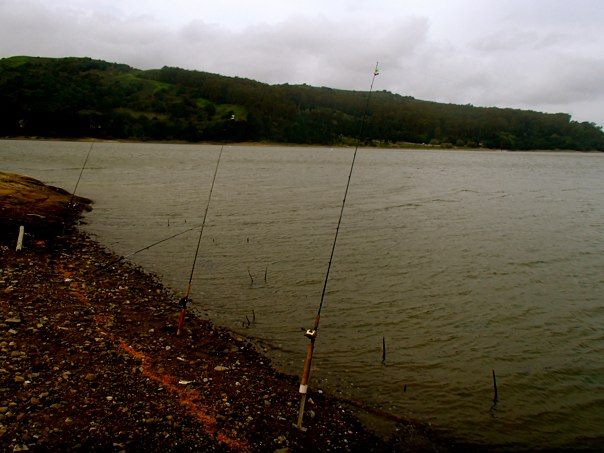 how to catch trout in new england ponds