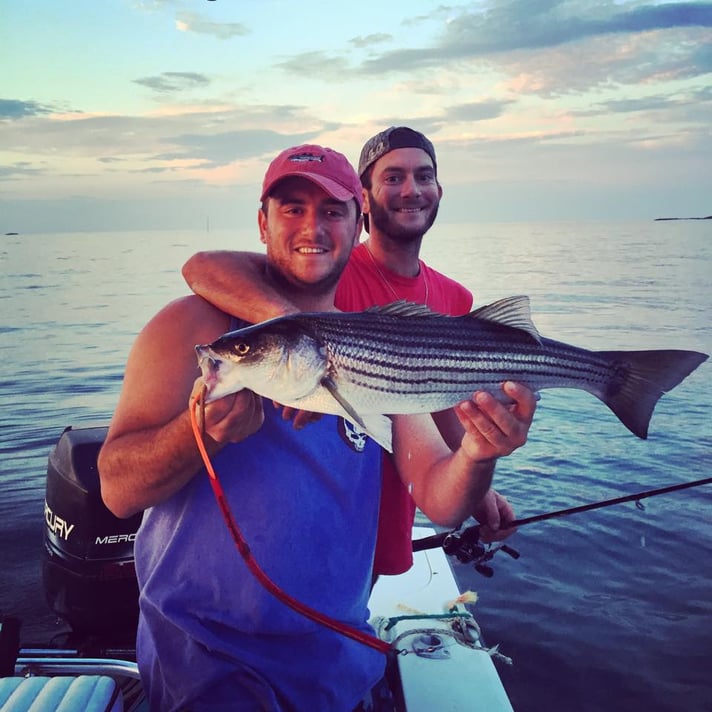 Top Striped Bass Techniques for Inshore Fishing